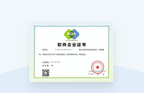 软件企业